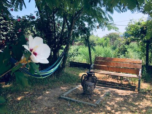 Фотографии гостевого дома
На Спортивном