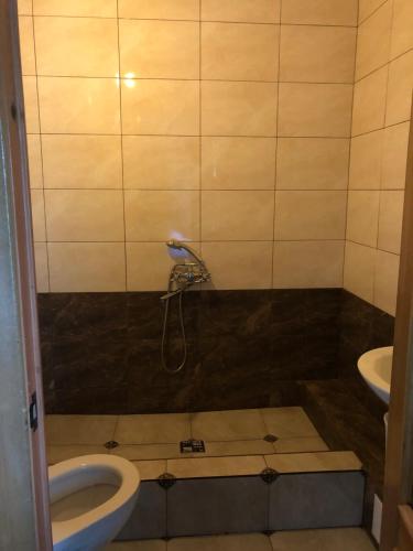 Фотографии гостиницы
Очаг