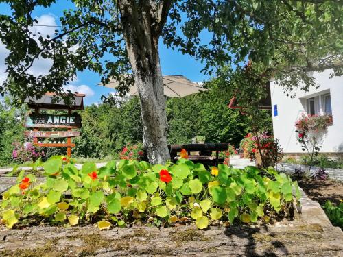 Фотография гостевого дома House Angie