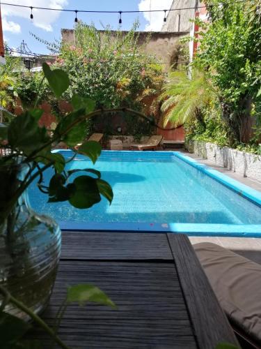 Фотография гостиницы Hotel Reforma