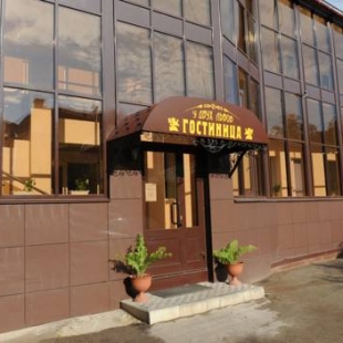 Фотография гостиницы У Двух львов