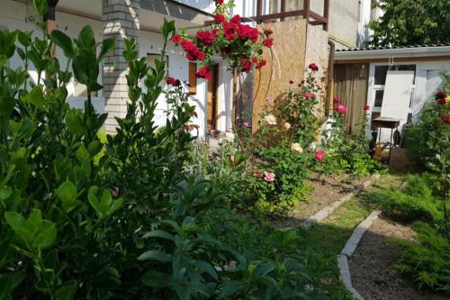 Фотография гостевого дома Ильвира