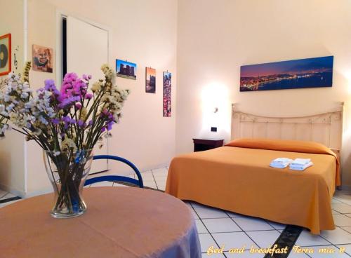 Фотография мини отеля B&B Terra Mia