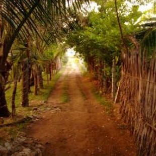 Фотография мини отеля Werala Beach Resort