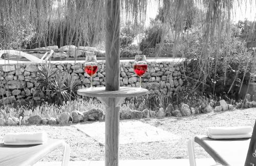 Фотография гостевого дома Finca Sa Casita, Muro 225