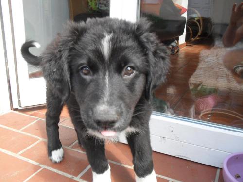 Фотография гостевого дома Ferienhaus Duhra