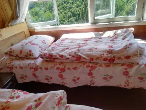 Фотографии гостевого дома
Елизаветы