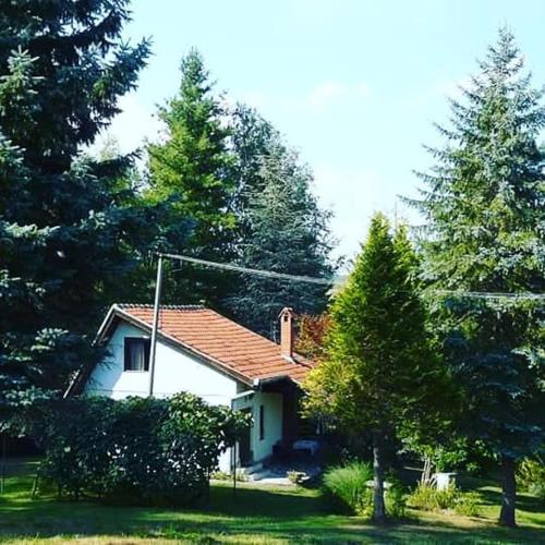 Фотография гостевого дома Takovo - odmor u selu