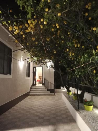 Фотография мини отеля B&B Guest Armonie