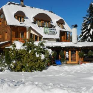 Фотографии гостевого дома 
            Penzion Limba