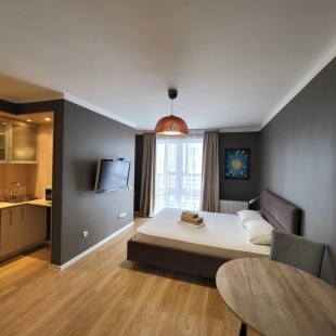 Фотография квартиры Квартира Эрвье 24к1