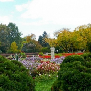 Фотография Ботанический сад