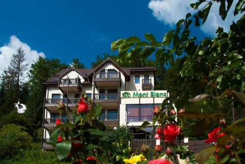 Фотографии гостиницы 
            Hotel Mont Blanc