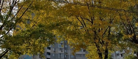 Фотография гостиницы SkyHome на Науки