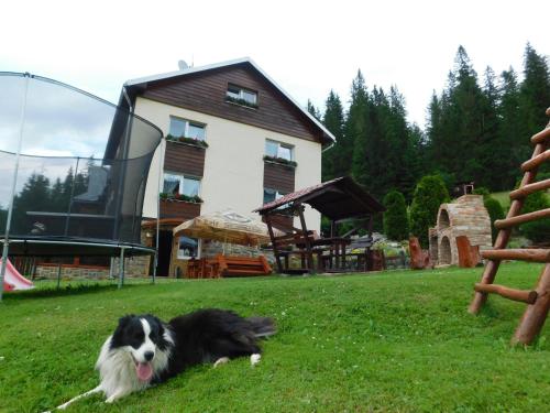 Фотография гостевого дома SPA & WELLNESS Penzión Zorhill