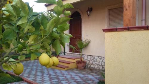 Фотография гостиницы Villa Rahal