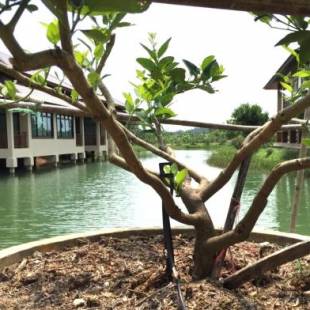 Фотографии гостевого дома
Lantala Residence