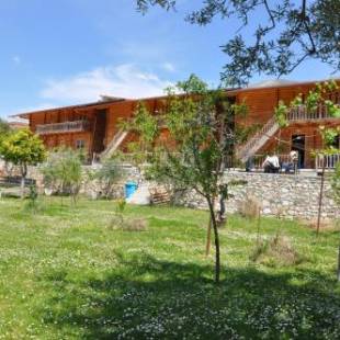 Фотографии гостевого дома 
            Guest House Luiza