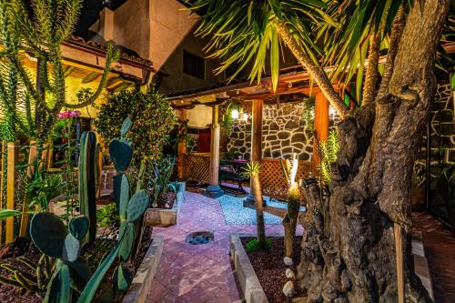 Фотография гостиницы Hotel del Carmen