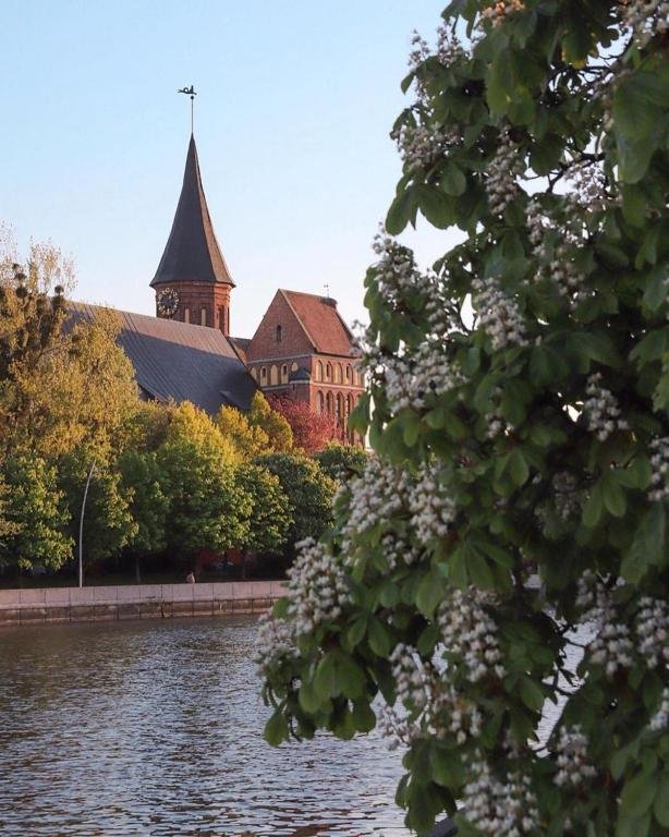 Фотография квартиры Апартаменты Богдана Хмельницкого 75