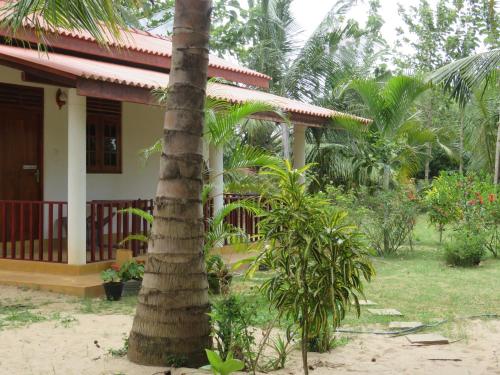 Фотография мини отеля Beach Lagoon Guesthouse