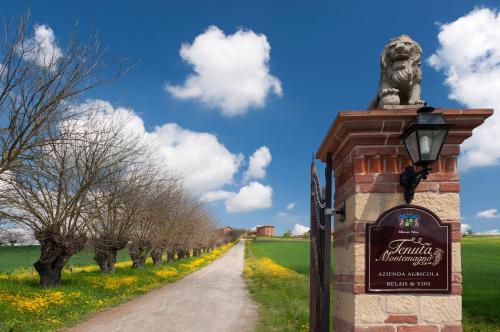 Фотография базы отдыха Tenuta Montemagno