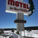 Фотография мотеля Motel In The Pines