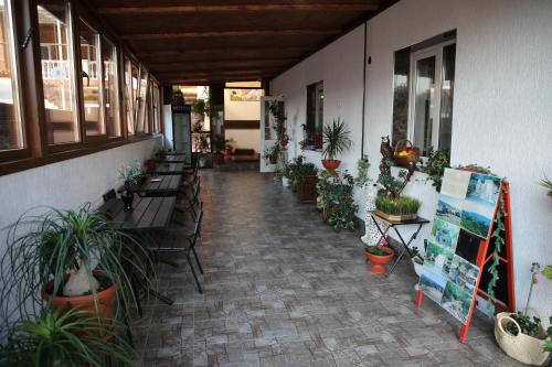 Фотография гостевого дома Мечта туриста