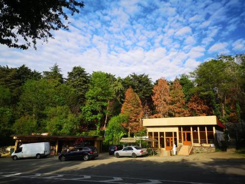 Фотографии гостиницы
Парк-отель Дом у дороги