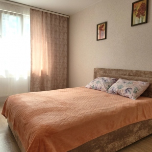 Фотография квартиры Квартира на улице Каштановая 9