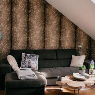 Фотография мини отеля JAM Luxury Apartment