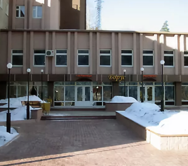 Фотография гостиницы Борус