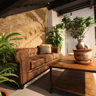 Фотография хостела AZ The Botanic Hostel