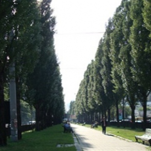 Фотография достопримечательности Бульвар Шевченко