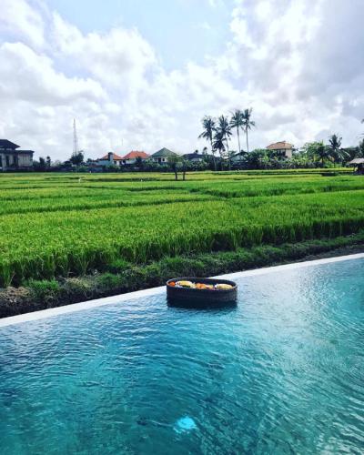 Фотография базы отдыха Adil Villa & Resort