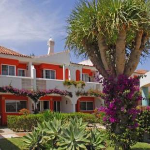 Фотографии гостиницы
Bungalows Cordial Green Golf