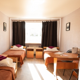 Фотография номера мини отеля Брусника