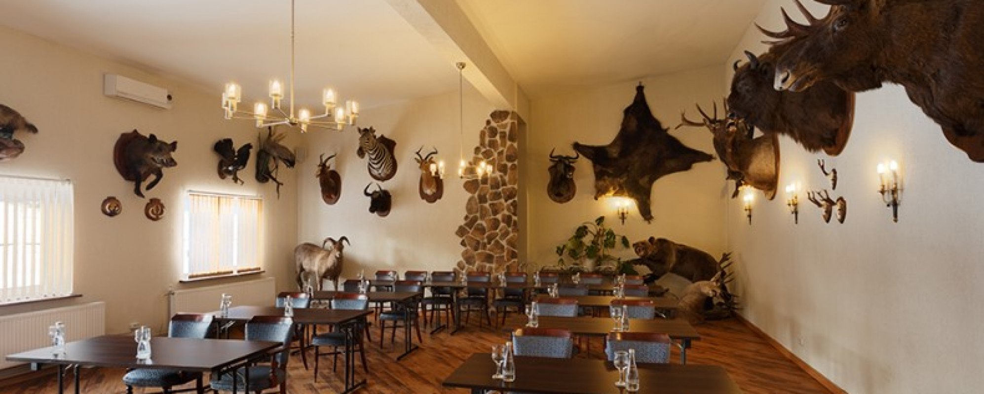 Фотографии конференц-зала Черные камни