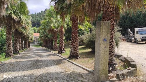 Фотография гостевого дома Quinta da Vinha do Souto