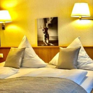 Фотография гостиницы Hotel Austria Stuttgart-City