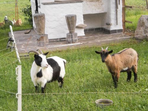 Фотография базы отдыха Waldschönau