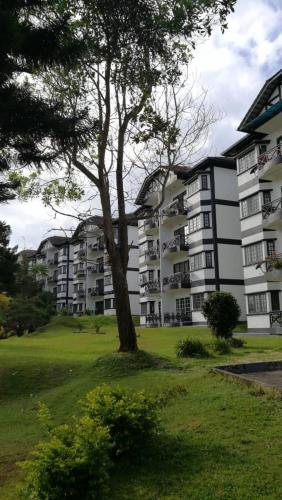 Фотография мини отеля Cameron Greenhill Apartment