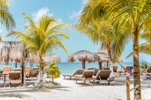 Фотография гостиницы Zomay Beachfront Holbox