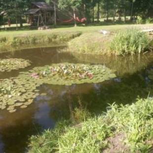 Фотографии кемпинга
Dižāpas