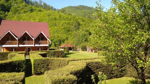 Фотографии гостевого дома 
            Pensiunea Poarta Raiului