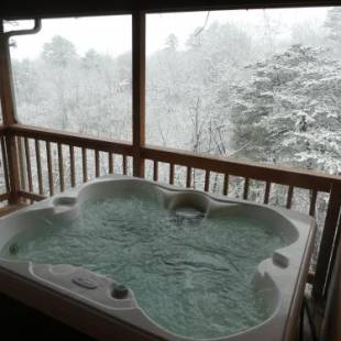 Фотографии гостевого дома
Ladybug Resort Romantic Cabin With Mountain Views, Game Room, Close to Dollywood