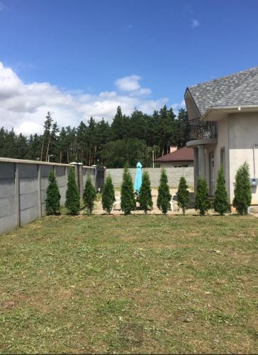 Фотография гостевого дома Молодая