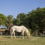 Фотография гостиницы Hotel Mas Des Barres