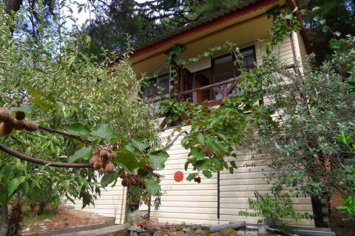 Фотография гостевого дома Сосновый Бор