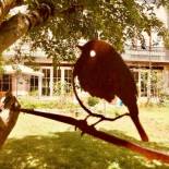 Фотография мини отеля Numero22 Chambres d'hôtes